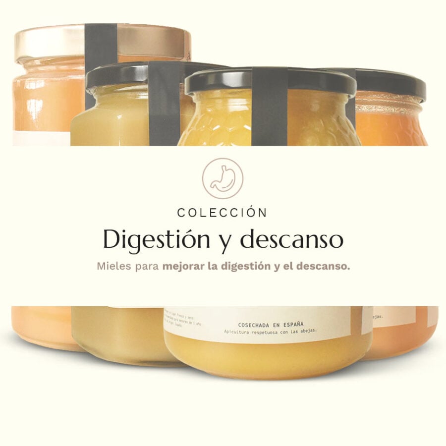 Colección de mieles para digestión y descanso