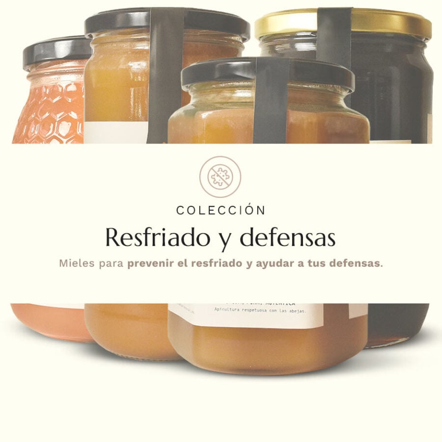 Colección de mieles para los resfriados y las defensas